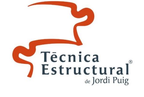 Tècnica Estructural